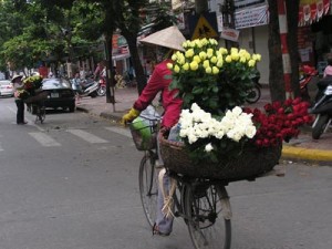 Hanoi City Tour